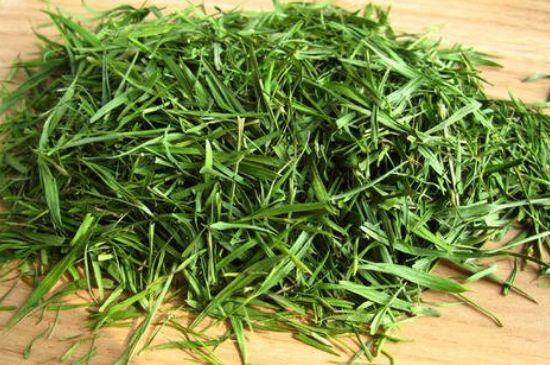 哪類人不適合喝石竹茶，石竹茶的功效與禁忌