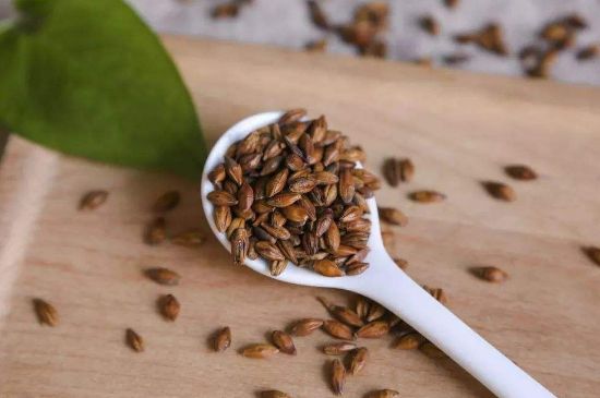 大麥茶上火嗎，喝大麥茶會(huì)不會(huì)上火？