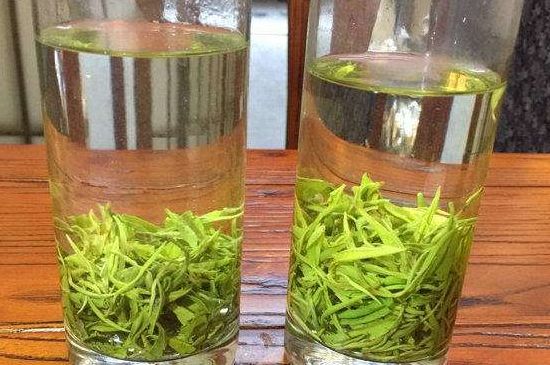 黃金茶的功效及禁忌癥，黃金茶有什么副作用嗎？