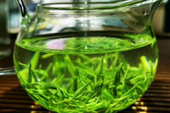 喝黃金茶禁忌，什么人不能喝黃金芽茶？