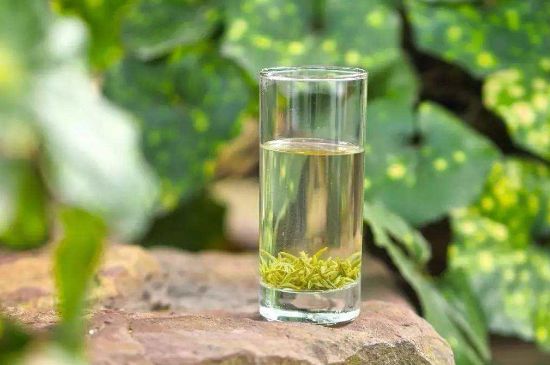 碧螺春沖泡三要素，碧螺春怎么泡才正確？