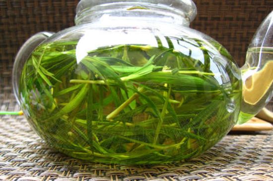 竹葉茶的禁忌，竹葉泡茶的功效禁忌