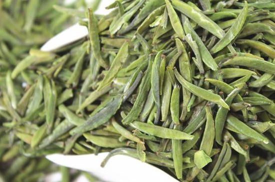 雀舌茶什么人不能喝，雀舌茶的功效與禁忌