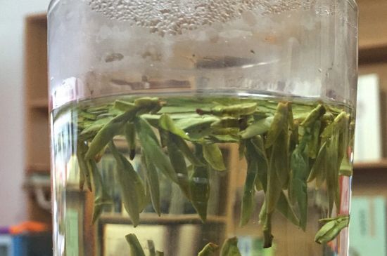 煮茶器能煮龍井嗎，龍井茶能不能用煮茶器圖