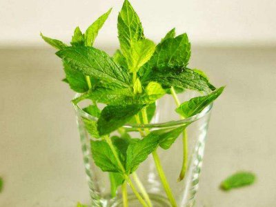 喝茶治口臭嗎，什么茶治口臭好？