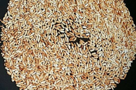 玄米茶是紅茶嗎，玄米茶怎么喝