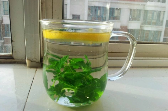 薄荷茶的功效與作用，喝薄荷茶有什么好處？