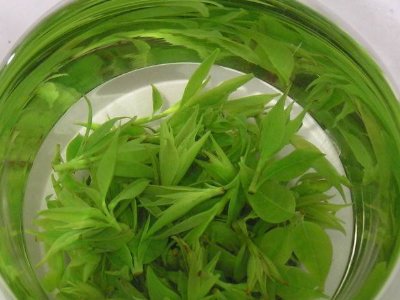 茶葉具有什么功效，茶葉的功效與作用大全