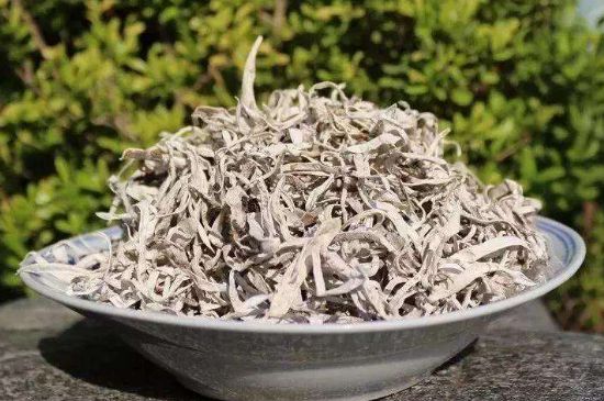 麗江雪茶的功效與作用，白雪茶有什么功效和作用