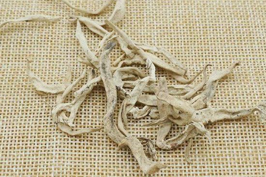 麗江雪茶的功效與作用，白雪茶有什么功效和作用