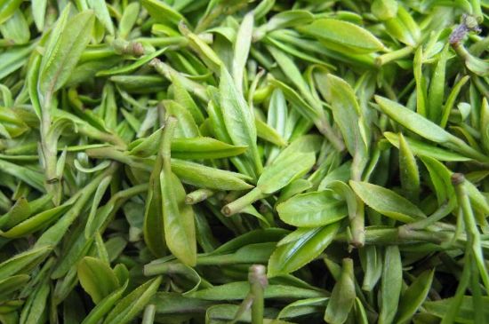 世界最貴的茶葉排行榜，十大最貴的茶