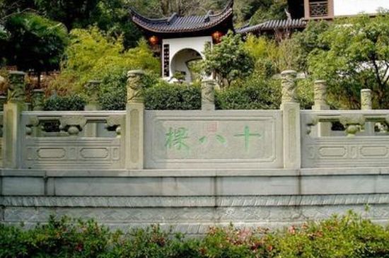 世界最貴的茶葉排行榜，十大最貴的茶