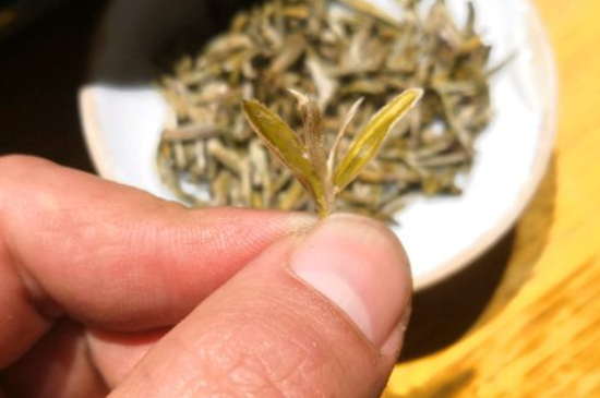 六大茶類哪種適合長期存放，日常如何保存方法一覽？