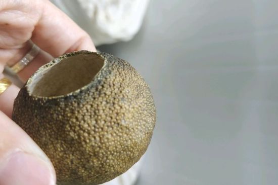 小青柑多少錢一盒，新會小青柑普茶價格一斤多少