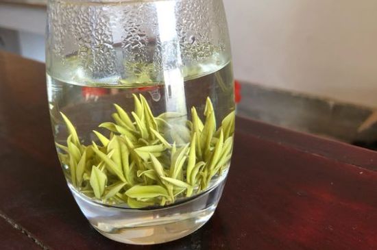 安吉白茶耐寒嗎，白茶適合放冰箱嗎