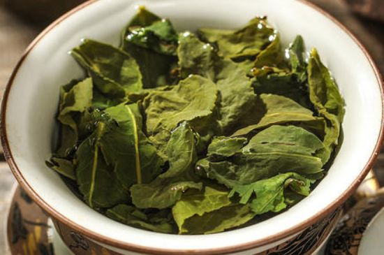 陳茶還是新茶好，茶葉是新茶好喝還是陳茶好喝