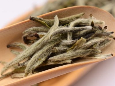 白毫銀針?lè)艓啄曜詈茫缀零y針什么年份最好？