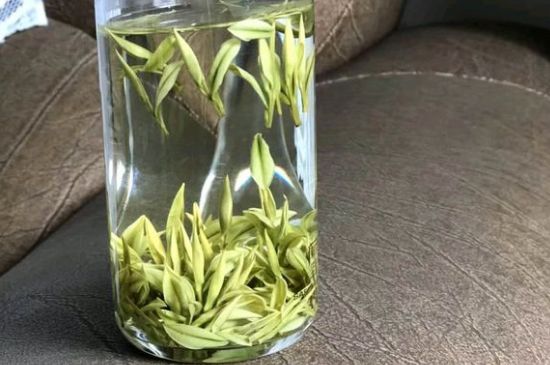 安吉白茶夏天怎么保存，安吉白茶能冷凍儲存嗎？