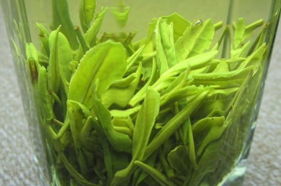 哪種茶葉可以放冰箱，哪些茶不能放冰箱？