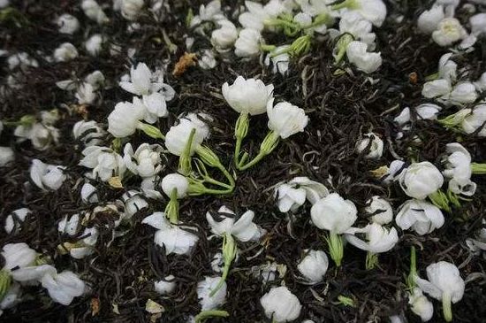 茉莉龍珠怎么做的，茉莉龍珠的制作工藝