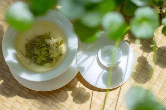 茉莉花茶6種人不要喝，什么體質(zhì)不適合喝茉莉花茶？