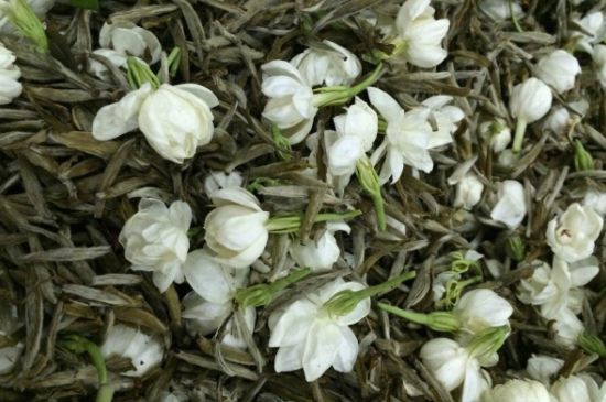 茉莉銀針口感，茉莉銀針是什么味道？
