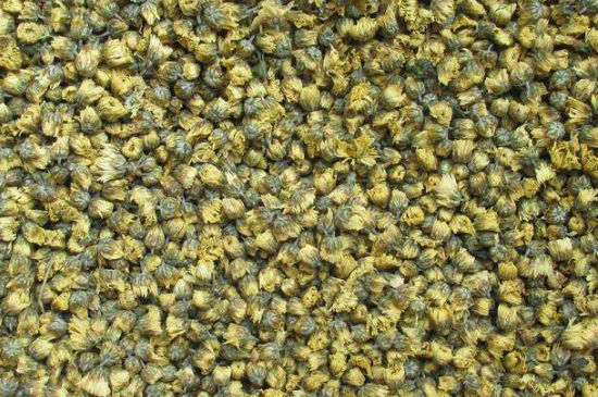 菊花茶大朵小朵有什么區(qū)別，菊花喝大朵還是小朵？