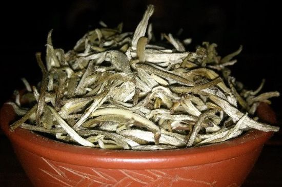 茉莉花茶6種人不要喝，什么體質(zhì)不適合喝茉莉花茶？