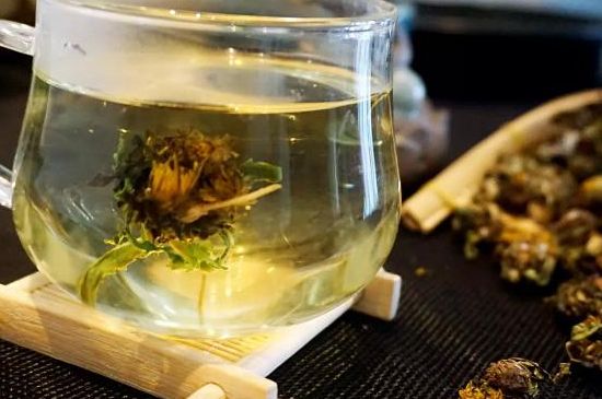 蒲公英最佳搭配，蒲公英茶和什么搭配泡水最佳