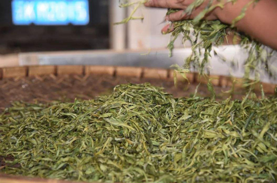 炒青綠茶與綠茶的區(qū)別，烘青和炒青哪個(gè)好喝？