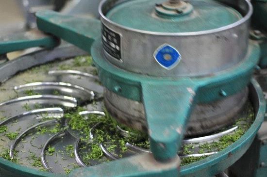 武夷巖茶的初制、精制加工工藝詳細講解