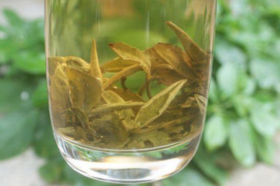 茉莉龍珠泡開(kāi)后為什么都是梗，茉莉龍珠泡開(kāi)后什么樣？