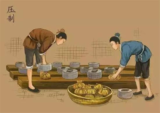 制茶八步驟，制茶工藝流程圖