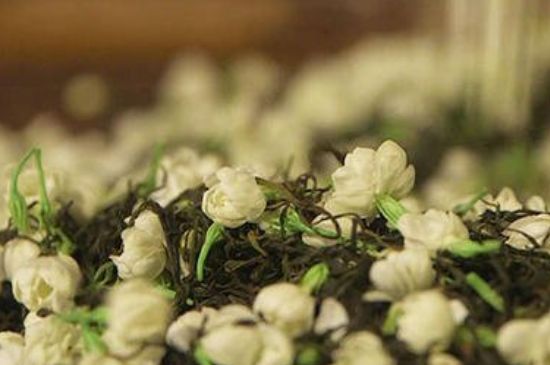 蒸茶器可以蒸花茶嗎，蒸茶器能用來蒸茉莉花茶嗎？