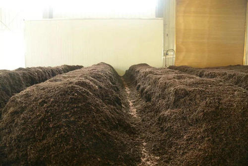 制茶八步驟，制茶工藝流程圖