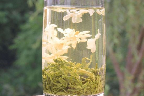 茉莉龍珠可以和什么一起泡茶，茉莉龍珠茶能加蜂蜜嗎？