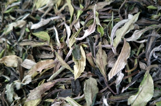 福鼎白茶貢眉和壽眉的區(qū)別，壽眉與貢眉有什么區(qū)別