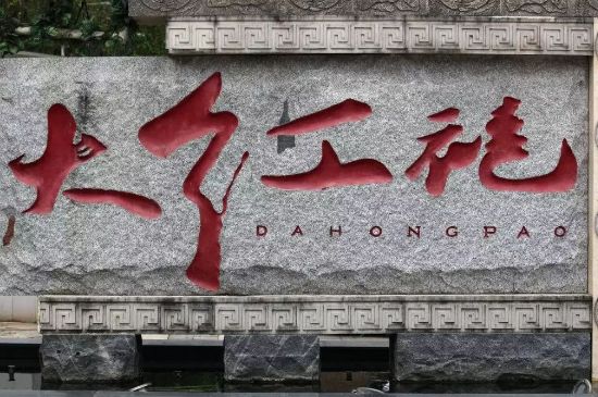 母樹大紅袍給誰喝了，為什么母樹大紅袍叫三棵六株？