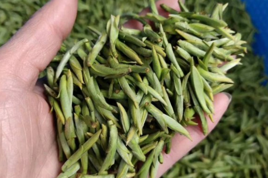 龍井茶好壞的鑒別圖片，如何區(qū)別龍井茶的好壞？