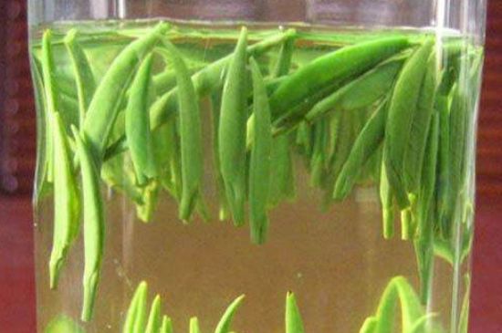 竹葉青和毛尖的區(qū)別，毛尖和竹葉青怎么分辨？