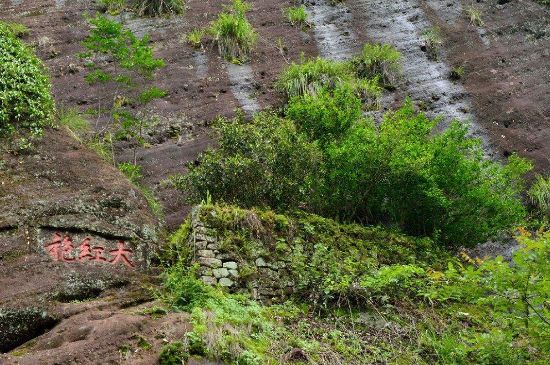 武夷巖茶大紅袍，喝起來是什么味道？