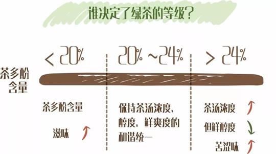 什么綠茶口味重口感濃郁，口味比較重的綠茶都有那些？