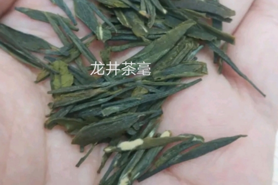 西湖龍井茶毫和發(fā)霉區(qū)別圖片，長(zhǎng)霉的龍井茶葉會(huì)是什么樣？