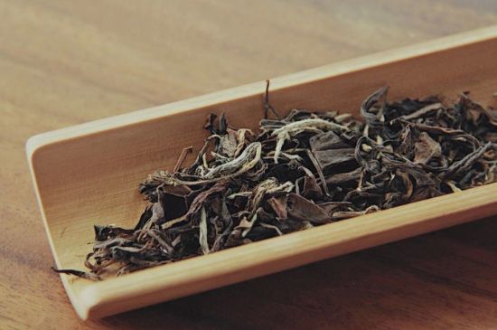怎么撬老白茶茶餅不容易碎，福鼎白茶如何撬茶方法