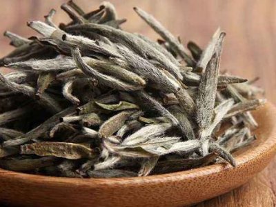 白茶有哪些品種排名，<a href=http://m.laithaiofkirkland.com/fenlei/baicha/ target=_blank class=infotextkey>白茶的種類</a>大全