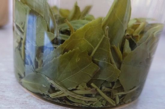 綠茶陳茶和新茶區(qū)別，綠茶怎樣區(qū)分新茶和陳茶