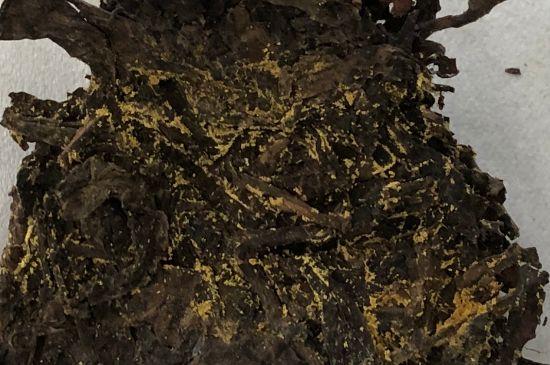 怎么知道涇渭茯茶是否變質(zhì)，茯磚茶金花和發(fā)霉的區(qū)別