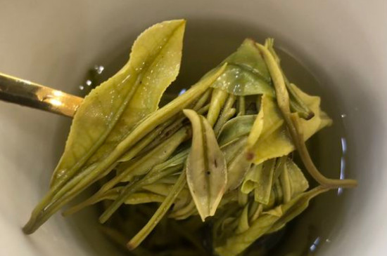 新舊白茶怎么區(qū)分，怎么分辨白茶是新還是舊