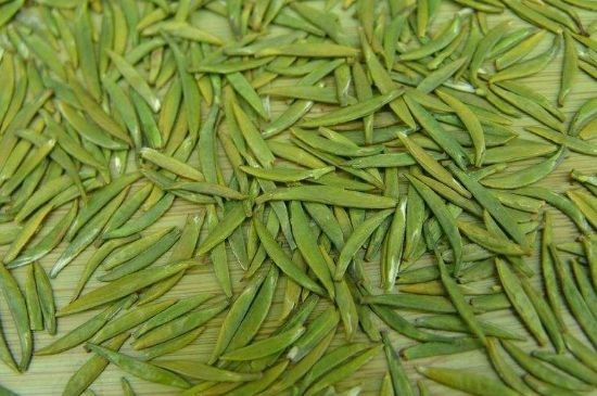 竹葉青和毛尖的區(qū)別，毛尖和竹葉青怎么分辨？