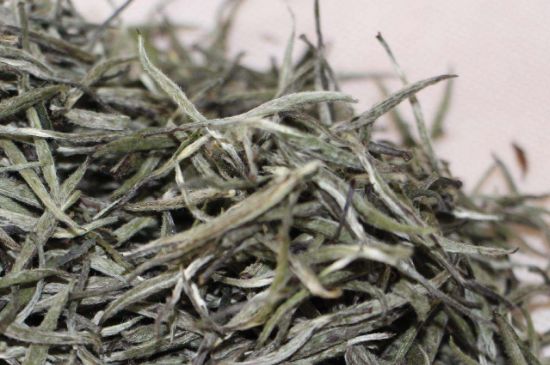 什么人不能喝白茶，白茶不宜什么人喝？